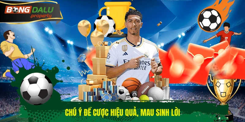 Chú ý để cược hiệu quả, mau sinh lời