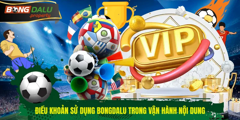 Điều khoản sử dụng BONGDALU trong vận hành nội dung
