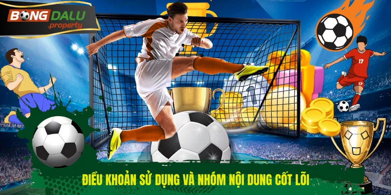 Điều khoản sử dụng và nhóm nội dung cốt lõi