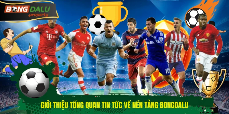 Giới thiệu tổng quan tin tức về nền tảng BONGDALU