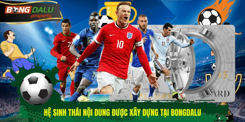 Hệ sinh thái nội dung được xây dựng tại BONGDALU