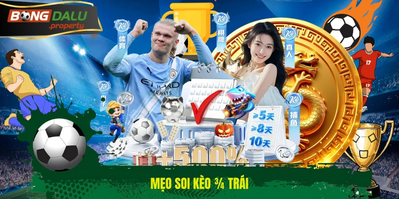 Mẹo soi kèo ¾ trái