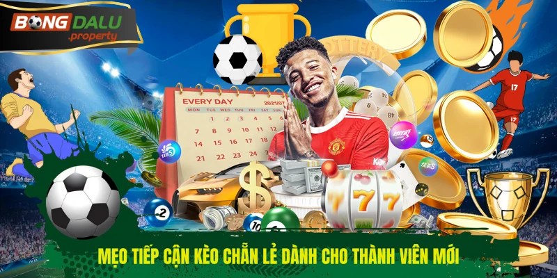 Mẹo tiếp cận kèo chẵn lẻ dành cho thành viên mới