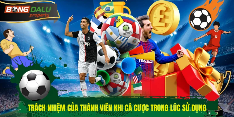 Trách nhiệm của thành viên khi cá cược trong lúc sử dụng